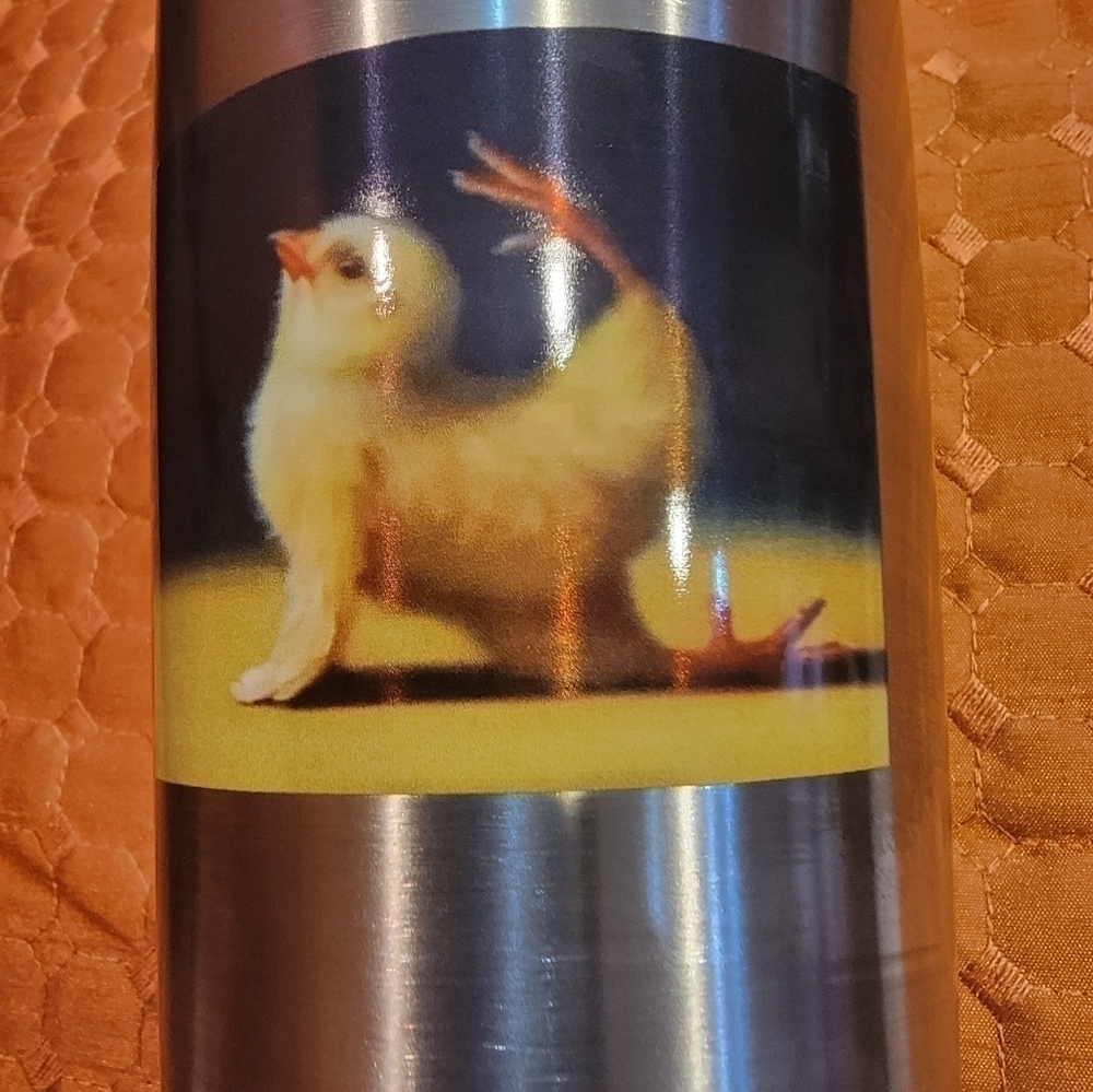 20 oz "I'm Fabulous Dammit" Yoga Chickie Stainless Steel Tumbler Mug/Cup NEW!! - Picture 4 of 9